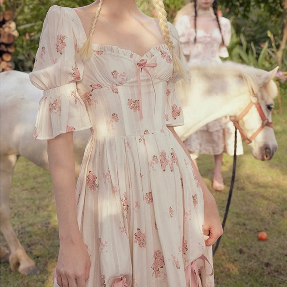 Rose's Smile Corset Dress lI - Picture 2 of 4